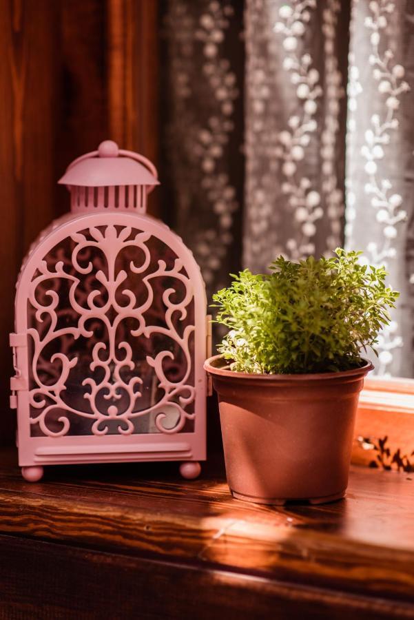 Lily Town Boutique Auberge de jeunesse
